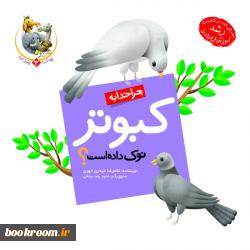 چرا خدا به کبوتر نوک داده است؟